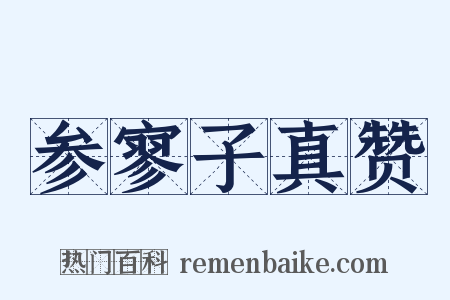 参寥子真赞是什么意思的图片